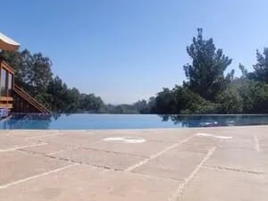 Infinity edge swimming pool with light gray concrete paver deck and wooden structure beside it