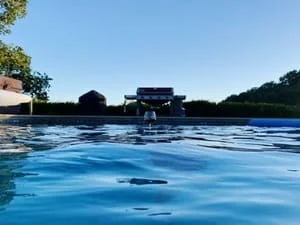 In-ground swimming pool with clear blue water and diving board on platform, framed by hedge and trees