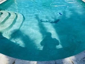 Curved in-ground pool with turquoise water, light-colored plaster interior, and tiered curved steps on the left side