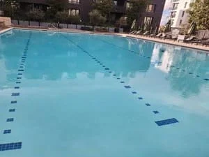 Large outdoor pool with clear blue water, dark blue tile lane markers on the floor, and deck lounge chairs